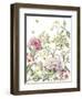 Rhododendron-Janneke Brinkman-Salentijn-Framed Giclee Print