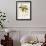 Rhododendron-John Nugent Fitch-Framed Giclee Print displayed on a wall