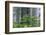 Rhododendrons and Redwoods-Darrell Gulin-Framed Photographic Print