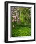 Rhododendrons and trees in a park setting.-Julie Eggers-Framed Photographic Print