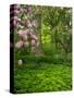 Rhododendrons and trees in a park setting.-Julie Eggers-Stretched Canvas