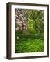 Rhododendrons and trees in a park setting.-Julie Eggers-Framed Photographic Print