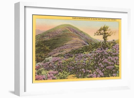 Rhododendrons, Blue Ridge Parkway, North Carolina-null-Framed Art Print