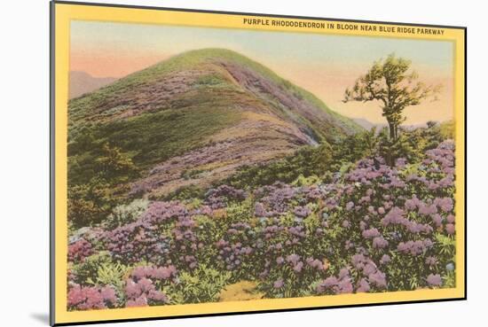 Rhododendrons, Blue Ridge Parkway, North Carolina-null-Mounted Art Print