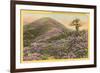 Rhododendrons, Blue Ridge Parkway, North Carolina-null-Framed Art Print