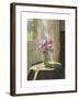 Rhododendrons by a Window-Jessica Hayllar-Framed Premium Giclee Print