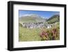 Rhododendrons frame the alpine village of Andermatt, surrounded by woods, Canton of Uri, Switzerlan-Roberto Moiola-Framed Photographic Print