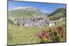 Rhododendrons frame the alpine village of Andermatt, surrounded by woods, Canton of Uri, Switzerlan-Roberto Moiola-Mounted Photographic Print