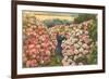 Rhododendrons, Golden Gate Park, San Francisco, California-null-Framed Art Print