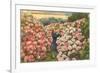 Rhododendrons, Golden Gate Park, San Francisco, California-null-Framed Premium Giclee Print