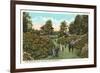 Rhododendrons, Highland Park, Rochester, New York-null-Framed Premium Giclee Print