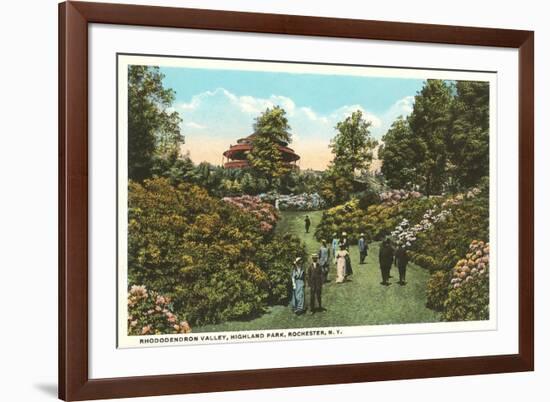 Rhododendrons, Highland Park, Rochester, New York-null-Framed Premium Giclee Print