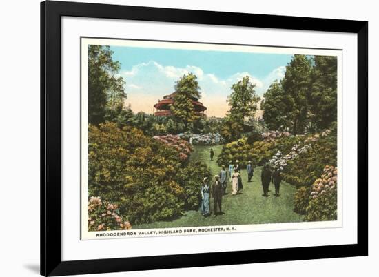 Rhododendrons, Highland Park, Rochester, New York-null-Framed Premium Giclee Print