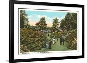 Rhododendrons, Highland Park, Rochester, New York-null-Framed Premium Giclee Print