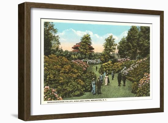 Rhododendrons, Highland Park, Rochester, New York-null-Framed Art Print