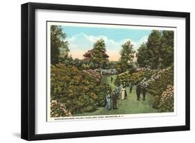 Rhododendrons, Highland Park, Rochester, New York-null-Framed Art Print