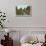 Rhododendrons, Highland Park, Rochester, New York-null-Stretched Canvas displayed on a wall