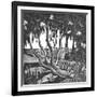 Rhododendrons, Holland Park-Mary Kuper-Framed Giclee Print