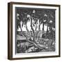 Rhododendrons, Holland Park-Mary Kuper-Framed Giclee Print