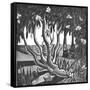 Rhododendrons, Holland Park-Mary Kuper-Framed Stretched Canvas