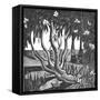 Rhododendrons, Holland Park-Mary Kuper-Framed Stretched Canvas