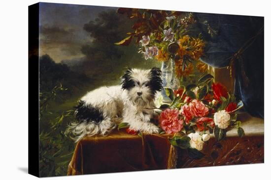 Rhododendrons in a Porcelain Vase with Roses and a Dog on a Draped Table in a Landscape-Adriana-johanna Haanen-Stretched Canvas