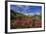 Rhododendrons in Bloom Surrounded by Green Meadows, Orobie Alps, Arigna Valley, Sondrio, Valtellina-Roberto Moiola-Framed Photographic Print