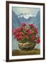 Rhododendrons in Pot by Mountains-null-Framed Art Print