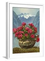 Rhododendrons in Pot by Mountains-null-Framed Art Print