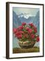 Rhododendrons in Pot by Mountains-null-Framed Art Print