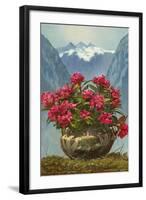 Rhododendrons in Pot by Mountains-null-Framed Art Print