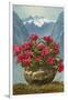 Rhododendrons in Pot by Mountains-null-Framed Art Print