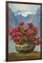 Rhododendrons in Pot by Mountains-null-Framed Art Print