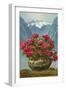 Rhododendrons in Pot by Mountains-null-Framed Art Print
