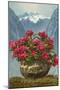 Rhododendrons in Pot by Mountains-null-Mounted Art Print