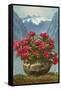 Rhododendrons in Pot by Mountains-null-Framed Stretched Canvas
