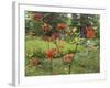 Rhododendrons, New Brunswick, Canada-Ellen Anon-Framed Photographic Print