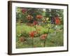 Rhododendrons, New Brunswick, Canada-Ellen Anon-Framed Photographic Print