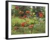 Rhododendrons, New Brunswick, Canada-Ellen Anon-Framed Photographic Print