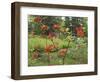 Rhododendrons, New Brunswick, Canada-Ellen Anon-Framed Photographic Print