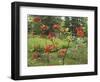 Rhododendrons, New Brunswick, Canada-Ellen Anon-Framed Photographic Print