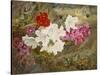 Rhododendrons with Bumble-Bee on an Ivy-Clad Ledge-Thomas Worsey-Stretched Canvas