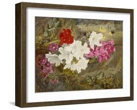 Rhododendrons with Bumble-Bee on an Ivy-Clad Ledge-Thomas Worsey-Framed Giclee Print