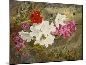 Rhododendrons with Bumble-Bee on an Ivy-Clad Ledge-Thomas Worsey-Mounted Giclee Print