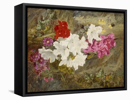 Rhododendrons with Bumble-Bee on an Ivy-Clad Ledge-Thomas Worsey-Framed Stretched Canvas