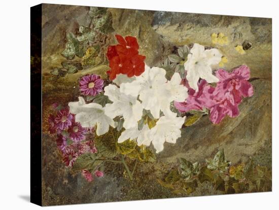 Rhododendrons with Bumble-Bee on an Ivy-Clad Ledge-Thomas Worsey-Stretched Canvas