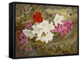 Rhododendrons with Bumble-Bee on an Ivy-Clad Ledge-Thomas Worsey-Framed Stretched Canvas