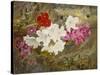 Rhododendrons with Bumble-Bee on an Ivy-Clad Ledge-Thomas Worsey-Stretched Canvas