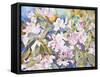 Rhododendrons-Sharon Pitts-Framed Stretched Canvas