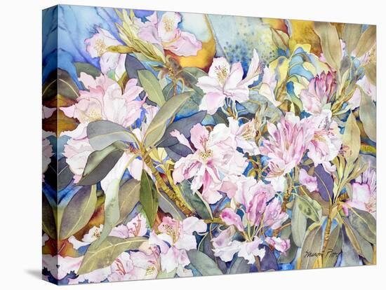 Rhododendrons-Sharon Pitts-Stretched Canvas
